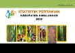 Statistik Pertanian Kabupaten Simalungun 2020